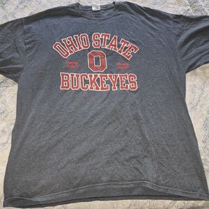 Men's Ohio State Buckeyes Gray T-Shirt - 2x